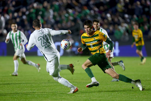 或许会有一 或许会有一